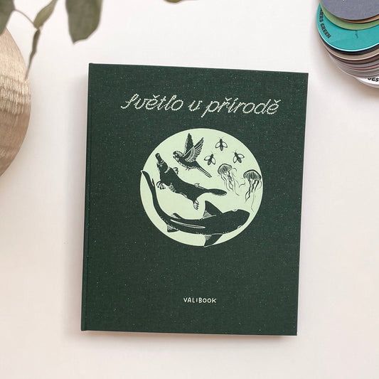 Světlo v přírodě